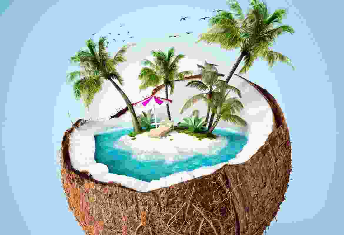 Praesent eget placerat